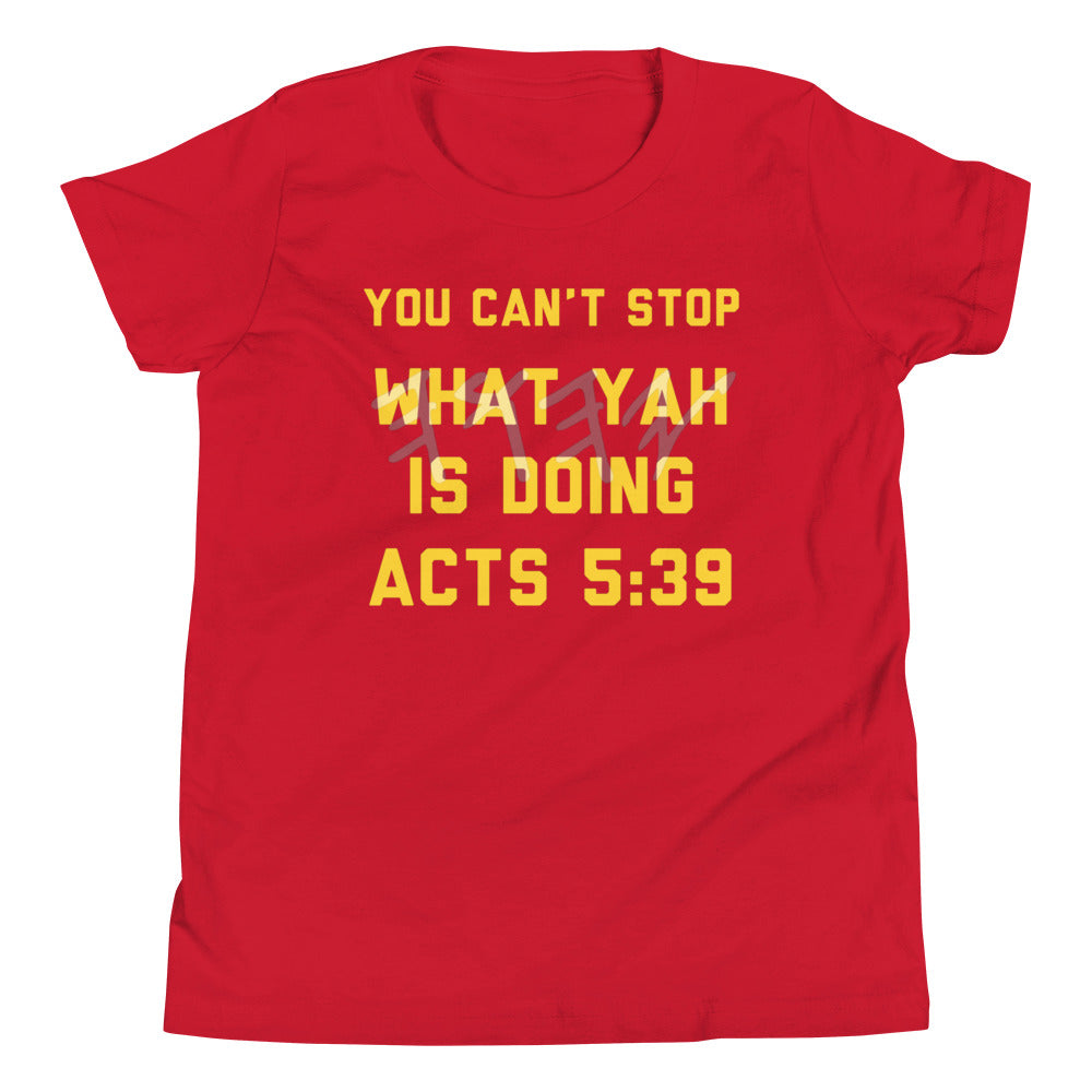 Boys Acts 5:39 T-Shirt